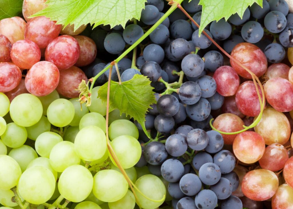 Grapes are sweet, Grapes are sour, All depends on what your soul's craving are! Health benefits