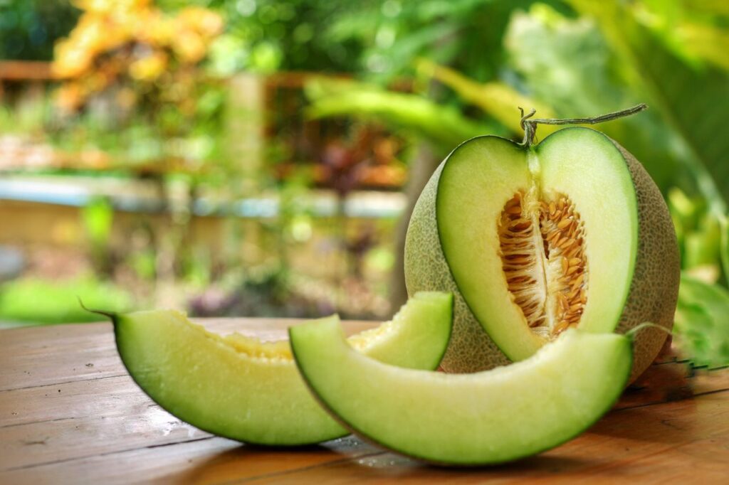 Honeydew melon, with its soft green skin, offers a refreshing and sweet taste, like a cool breeze on a summer day. Health benefits