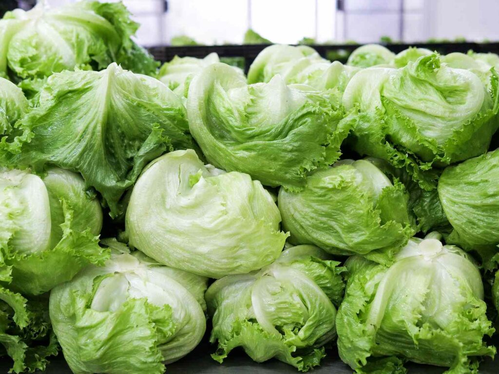 A satisfying crunch; An Iceberg Lettuce.