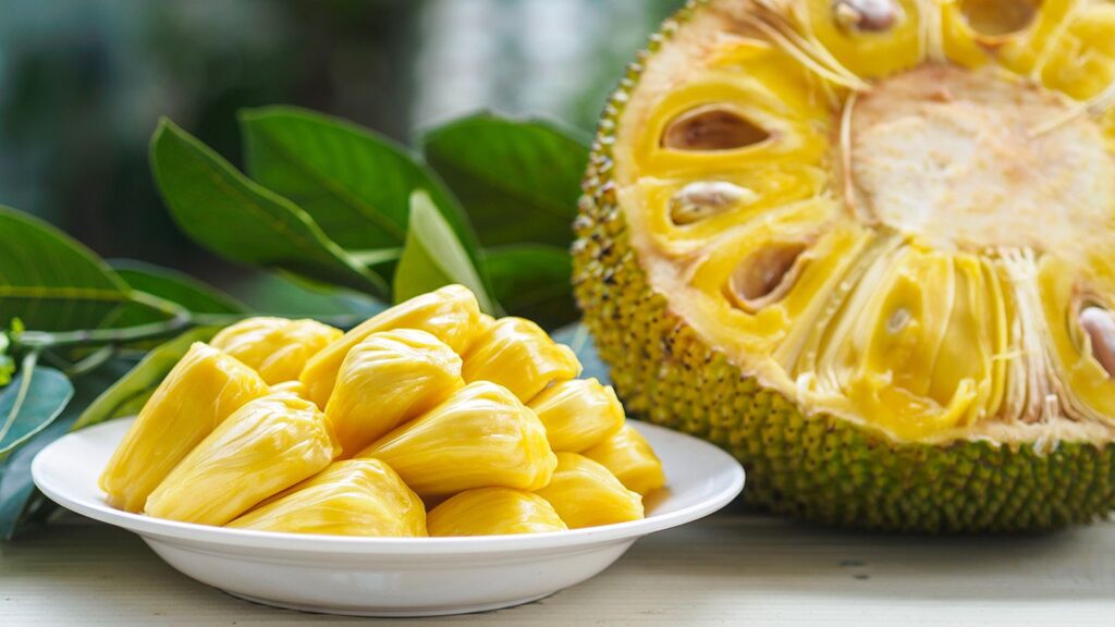 "The jackfruit: A symphony of flavours wrapped in a tropical embrace."