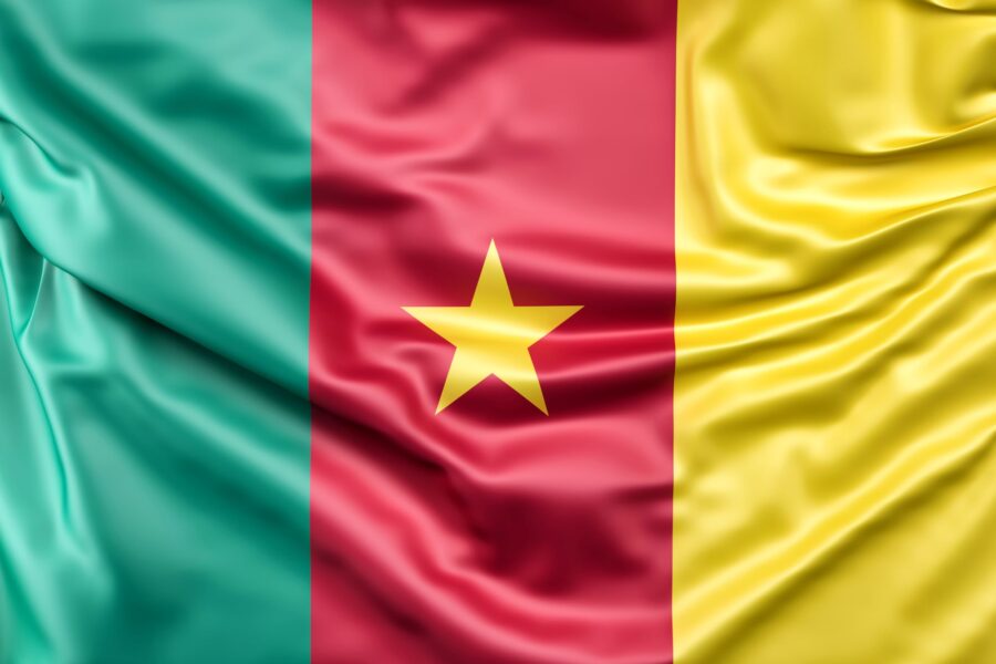 Flag of cameroon